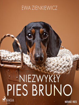 cover image of Niezwykły pies Bruno